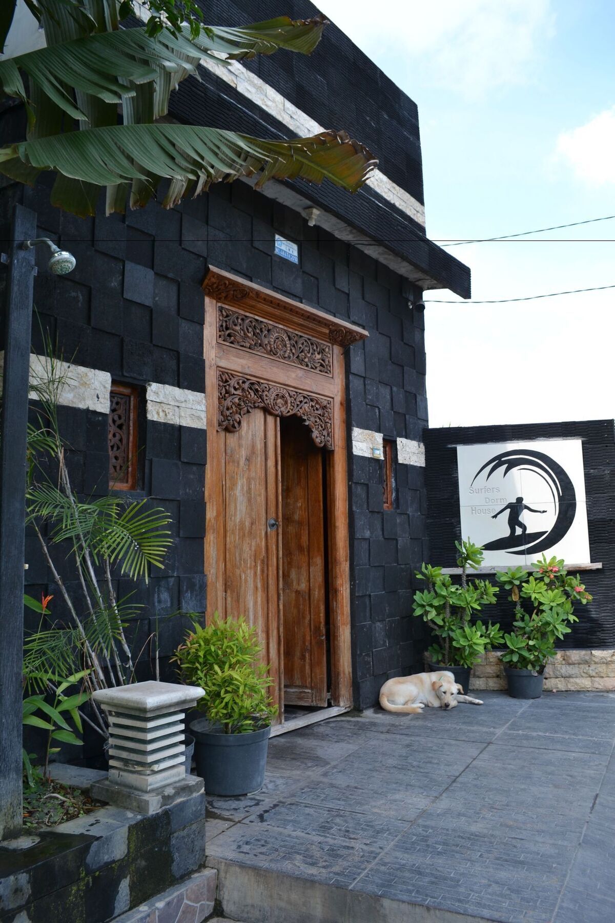Hotel Surfers Dorm House à Canggu Extérieur photo